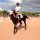 Things To Know Before Taking Horseback Riding Lessons