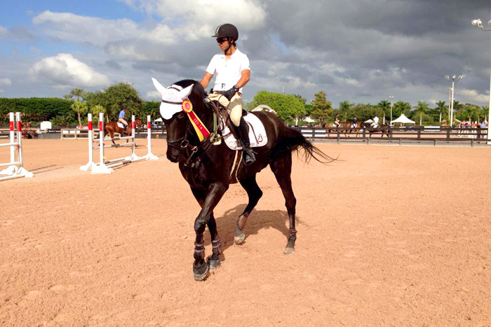 Horseback Riding in West Palm Beach: A Complete Guide